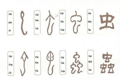 Nhung kham pha chua tung tiet lo ve Rong thoi co dai