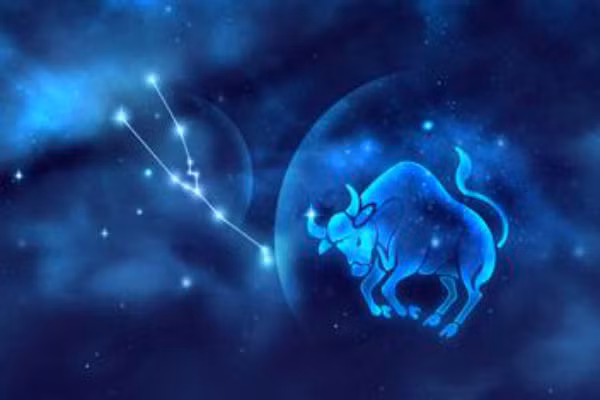  Kim Ngưu là người có sức quyến rũ mạnh với người khác giới bởi là người dịu dàng, nói năng dễ nghe. Các nàng Kim Ngưu đều rất đáng yêu và ngọt ngào, các chàng Kim Ngưu lại là người trầm tư, ít nói và thuộc tuýp rất nhã nhặn. 