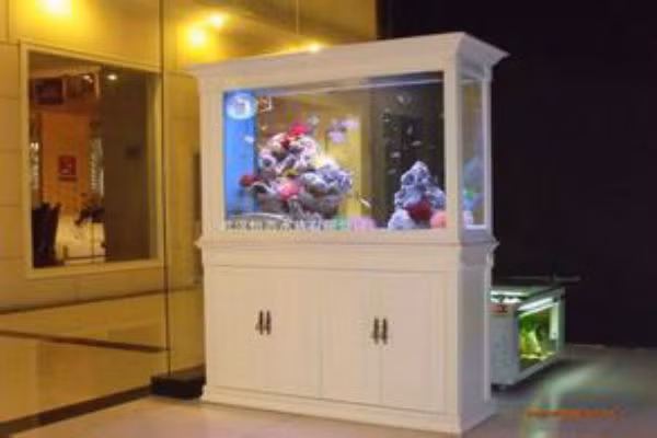 Theo phong thủy thì bể cá có tác dụng khai vận rất tốt nhưng cần chú ý đặt ít trong nhà nếu không dễ làm ẩm ướt môi trường phòng khách gây phản tác dụng. Những gia chủ kị thủy thì không nên đặt bể cá. 