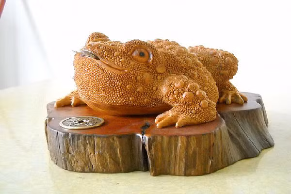 Muốn làm vượng tài vị trong nhà, rất đơn giản, hãy đặt những vật phẩm có khả năng chiêu tài như con cóc ba chân hoặc một đôi tỳ hưu vào vị trí tài thần hướng Tây Bắc. Đồng thời có thể đặt thêm những loại cây có lá tươi tốt, bóng mượt, như vậy tài vận nhất định càng vượng.