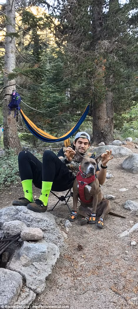 Giống như những chú chó khác, Penny không được phép vào các công viên quốc gia Mỹ. Điều này khiến DeLuca thực sự cảm thấy khó chịu vì anh không muốn để "người bạn nhỏ" ở nhà một mình. Tuy nhiên, có lẽ với Penny, việc gặp được người chủ mới đã là điều tuyệt vời nhất.