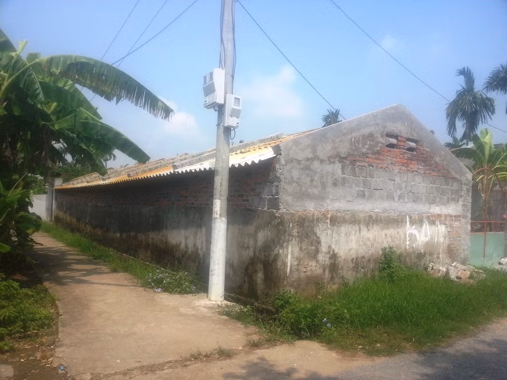 Ran ho mang tung hoanh Hai Phong, dan khiep dam-Hinh-3