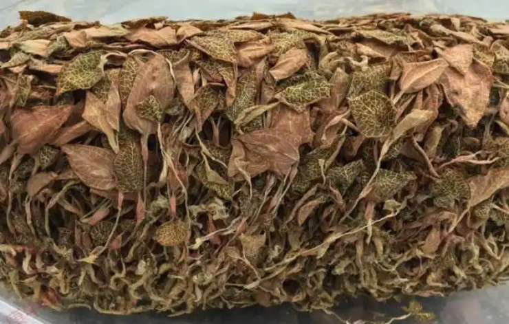 Cay kim cuong - “mo vang” co that ngoai doi-Hinh-3