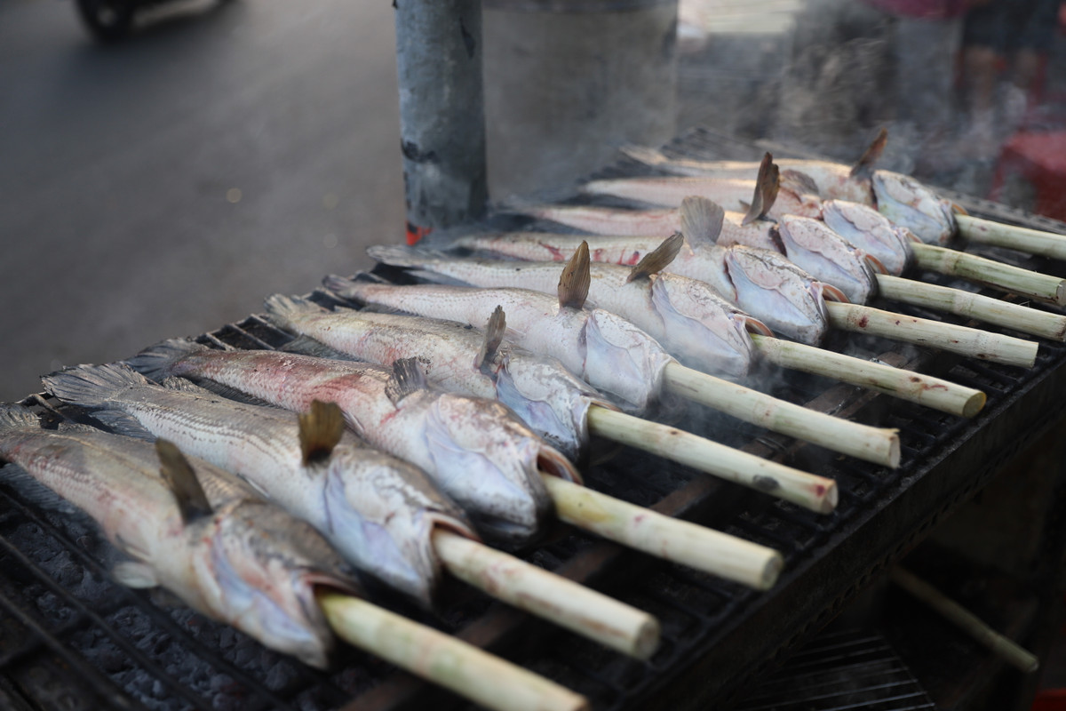 Những con cá lóc được các cửa hàng chuẩn bị kỹ lưỡng để bán cho người dân.