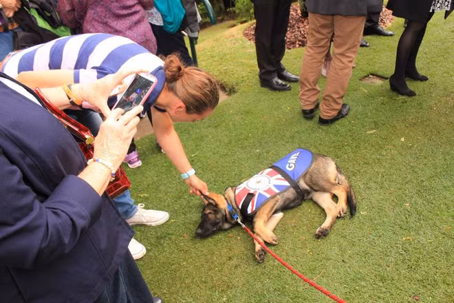 Tuy nhiên, người ta vẫn thường nói rằng "Khi cánh cửa này đóng lại, một cánh cửa khác sẽ mở ra". Và trường hợp của Gavel quả thực rất đúng với câu nói này.