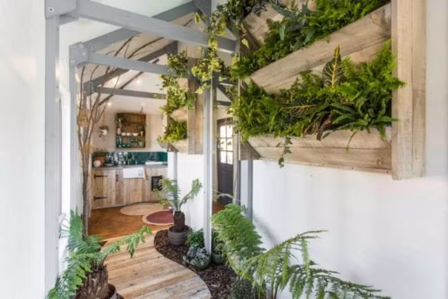 Thậm chí cạnh lối vào nhà bếp ngôi nhà cũng tràn ngập cây xanh ,dây leo.