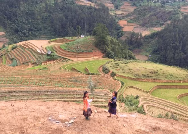 Mu Cang Chai mua nuoc do: Ve tinh te va hut hon nhat-Hinh-4