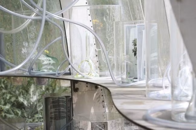 Hệ thống kiểm soát, chăm sóc cây dược liệu trong ngôi nhà được đặt để khéo léo khoa học, không tạo cảm giác rườm rạ, rối mắt.