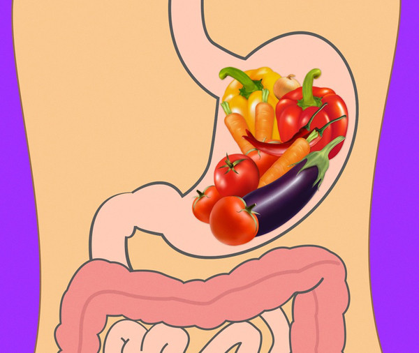 So với thức ăn dạng lỏng, rau tươi mất nhiều thời gian tiêu hóa hơn - tầm 30-40 phút.