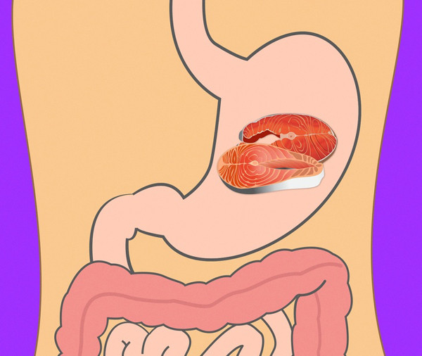 Cá là loại thịt động vật dễ tiêu. Dù ậy, nó vẫn cần 45-60 phút để được phân hủy.
