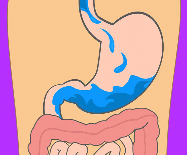 Phân tích thời gian tiêu hóa với từng loại thức ăn, các nhà khoa học cho biết nước sau khi uống đi vào ruột, được hấp thụ ngay lập tức.