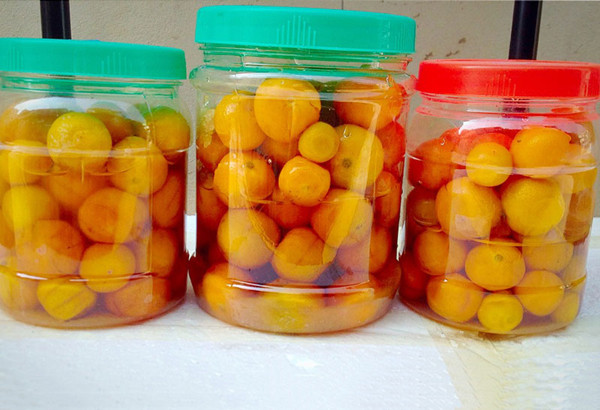 Với quất, bạn nên cho vào tủ lạnh để vắt với nước chấm trong các bữa ăn hàng ngày. Ngoài ra, rửa sạch rồi ngâm đường phèn cũng rất tốt. Ảnh: Internet.