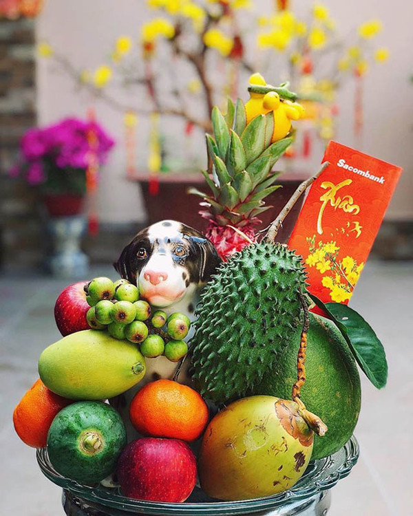 Mỗi dịp Tết đến xuân về, trên bàn thờ gia đình Việt đều bày mâm ngũ quả. Với mong ước cầu vừa đủ xài, mâm ngũ quả thường có mãng cầu (na), dừa, đu đủ và xoài.