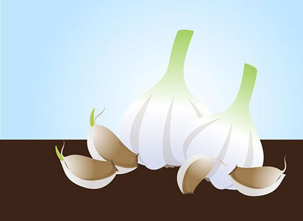 Nếu không thích mùi tỏi ám vào cơ thể suốt cả ngày, bạn nên tận dụng bạc hà, rau bina hoặc sữa sau đó để loại bỏ mùi khó chịu. Ảnh: Internet.
