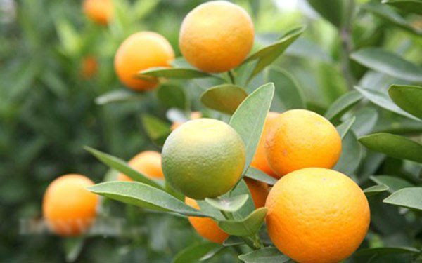 Để ngăn ngừa tình trạng khó chịu, bạn nên duy trì chế độ ăn hợp lý; ăn chậm, nhai kỹ; vận động nhẹ nhàng để giúp tránh khí ứ đọng.