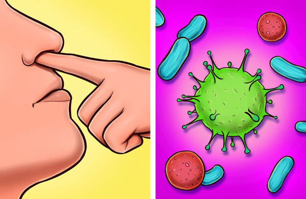 Gây viêm nhiễm. Ngón tay chúng ta thường chứa nhiều vi khuẩn mà mắt thường không phát hiện. Khi ngoáy mũi, bạn đã tạo điều kiện giúp những vi khuẩn này thâm nhập đường hô hấp gây viêm. Tình trạng sẽ nghiêm trọng hơn nếu bạn sở hữu bộ móng dài, gây tổn thương niêm mạc.