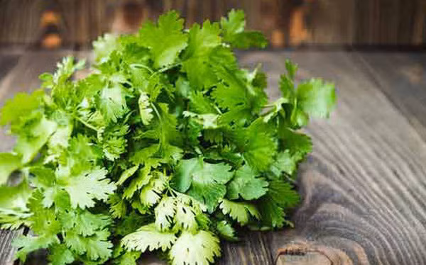 Rau mùi. Rau mùi là gia vị phổ biến song không phải ai cũng chịu được thứ mùi có nguồn gốc từ aldehyde của chúng. Chuyên gia sức khỏe khuyên nên tận dụng để tăng thêm hương vị đậm đà cho các món ăn.