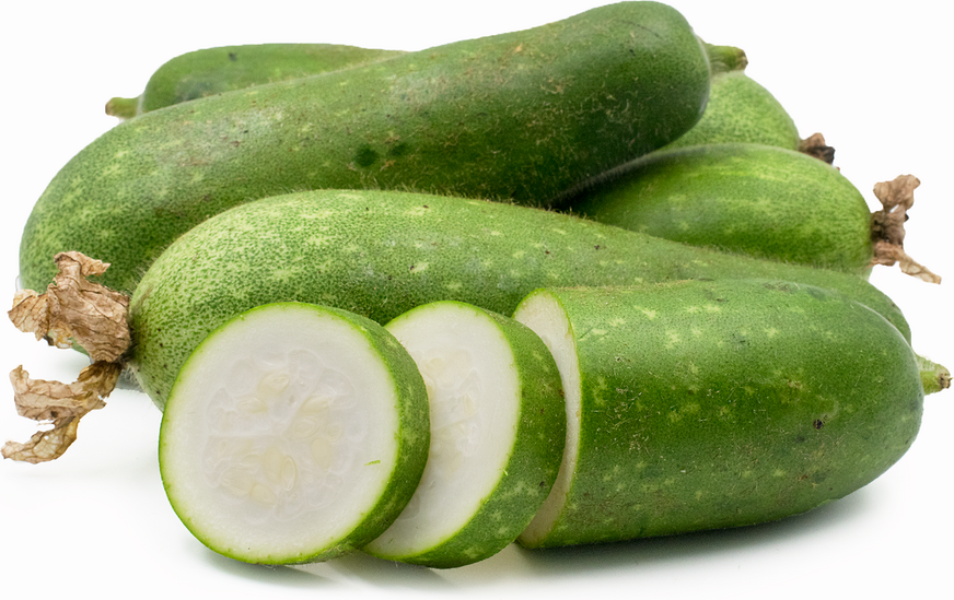 Giống như bí đỏ, bí đao rất dễ bảo quản. Chỉ cần để nơi thoáng mát, khô ráo không xếp chồng lên nhau thì có thể giữ được trong nhiều tháng.