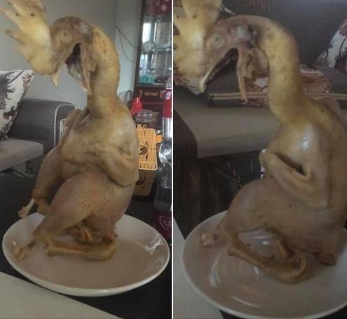 Học người ta tạo thế gà quỳ và cái kết?