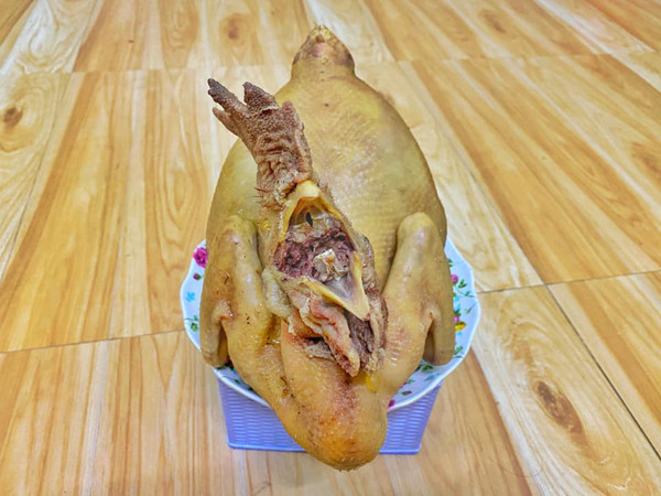 Chú gà luôn giữ tinh thần “lạc quan” dù vừa trải qua phen nước sôi lửa bỏng.