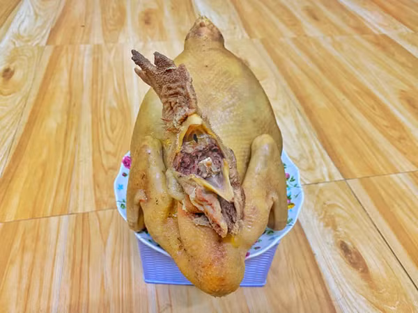 Chú gà luôn giữ tinh thần “lạc quan” dù vừa trải qua phen nước sôi lửa bỏng.