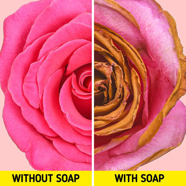 Vùng kín khỏe mạnh hơn. Tắm xà phòng thường xuyên có thể làm khô vùng sinh dục. Để tốt cho sức khỏe, bạn nên dùng nước ấm để rửa vùng kín để khử mùi hôi.