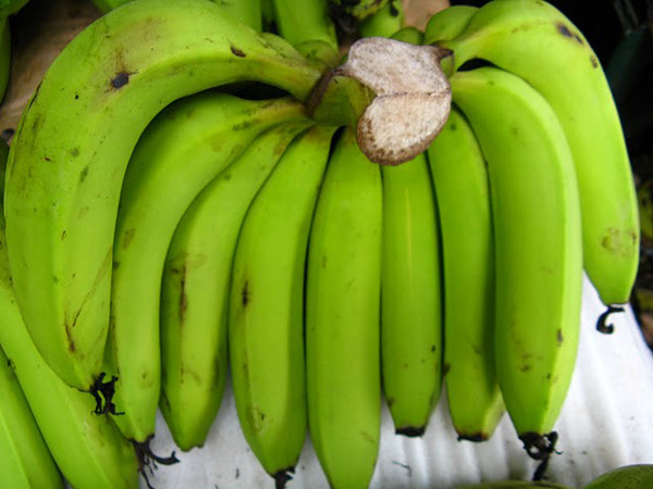 Những quả chuối trưởng thành cũng không có các cạnh, góc đặc biệt, dùng tay sờ cảm thấy đanh cứng. So với những quả chuối thẳng non, chuối cong khi chín sẽ có hương vị thanh nhẹ, ngọt mát hơn hẳn.