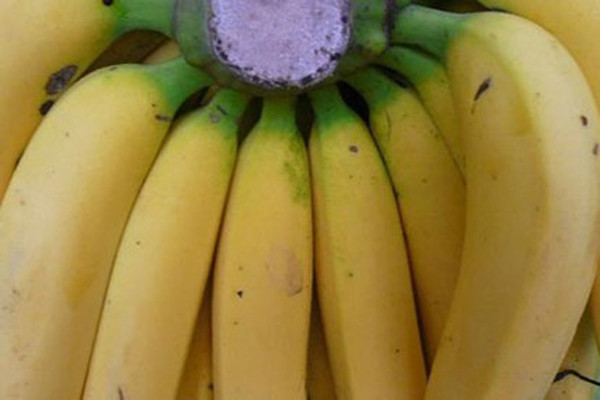 Bên cạnh đó, để có nải chuối ngon, người mua cũng cần phân biệt chuối ta với chuối Trung Quốc.