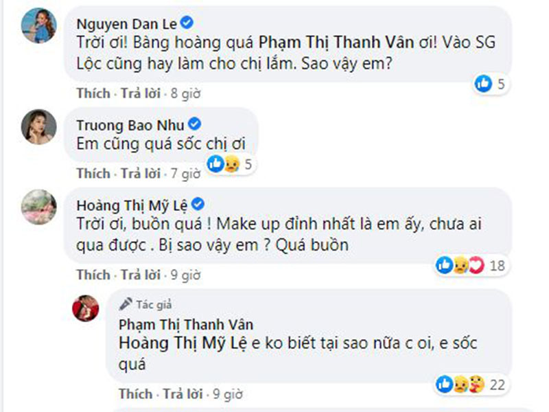 Đan Lê, Trương Bảo Như, Mỹ Lệ, Nhã Phương, Ngọc Quyên, Hồng Ngọc... cũng không ngờ Minh Lộc ra đi.
