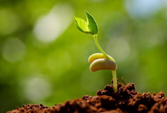 Số 4 và số 5: Mộc: Những người mang yếu tố Mộc có kiến thức sâu rộng và luôn tỏ ra kiên cường trước những khó khăn, thử thách của cuộc sống. Với kiến thức và kinh nghiệm của bản thân, họ còn có khả năng truyền cảm hứng sống và làm việc cho người khác. Người có số cuối năm sinh là 4 và 5 có một cuộc sống xã hội rất năng động. Mặc dù vậy, họ có tính sở hữu rất cao và thích kiểm soát mọi việc. Người này luôn nghĩ rằng, thứ gì đã là của mình thì kẻ khác không thể cướp đi. 