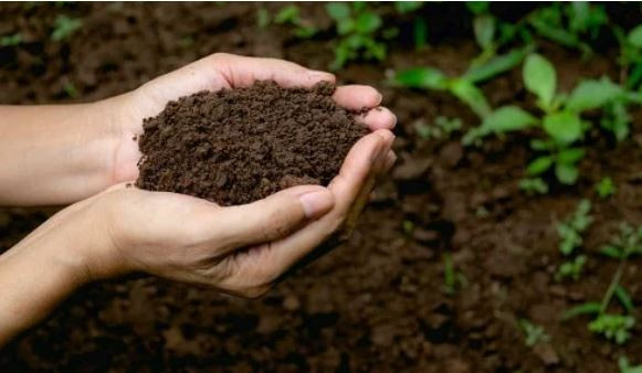 Số 8 và số 9: Thổ: Những người này có tính cách ổn định, đáng tin cậy, thận trọng, kiên nhẫn và trung thành. Họ sẵn sàng hy sinh bản thân và giúp đỡ những người khác. Trong cuộc sống, người này có suy nghĩ rất logic và thực tế. Đây là những phẩm chất giúp những người có số cuối năm sinh là 8 và 9 có thể thành công trong công việc. Tuy nhiên, nhược điểm của họ là dễ tin tưởng người khác, bướng bỉnh và thích kiểm soát. * Thông tin mang tính chất tham khảo, chiêm nghiệm.