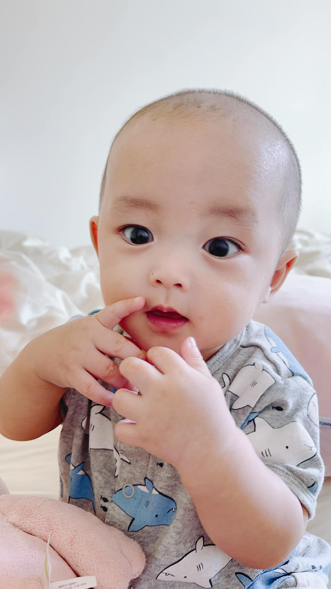 NTK Do Manh Cuong co 8 con nuoi: Ngam chuyen tinh nguoi showbiz-Hinh-2