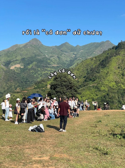 Mới đây, một tài khoản TikTok tên "sunoididau" chia sẻ nhiều hình ảnh về "kiếp nạn" đi Tà Xùa ngày cuối tuần gây chú ý.