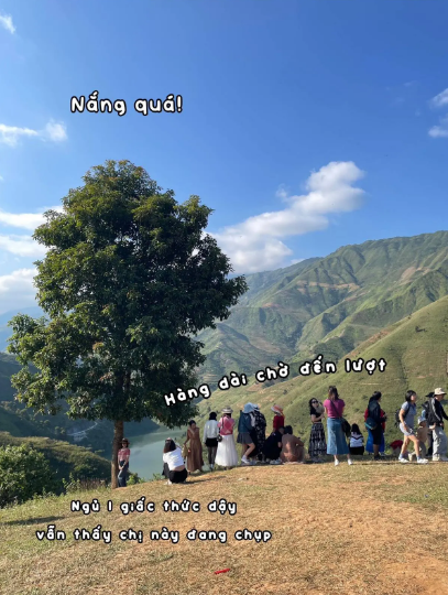 Các địa điểm check in nổi tiếng ở Tà Xùa như cây táo mèo cô đơn, mỏm cá heo,...luôn trong tình trạng đông đúc, chờ hàng tiếng vẫn chưa đến lượt chụp ảnh.