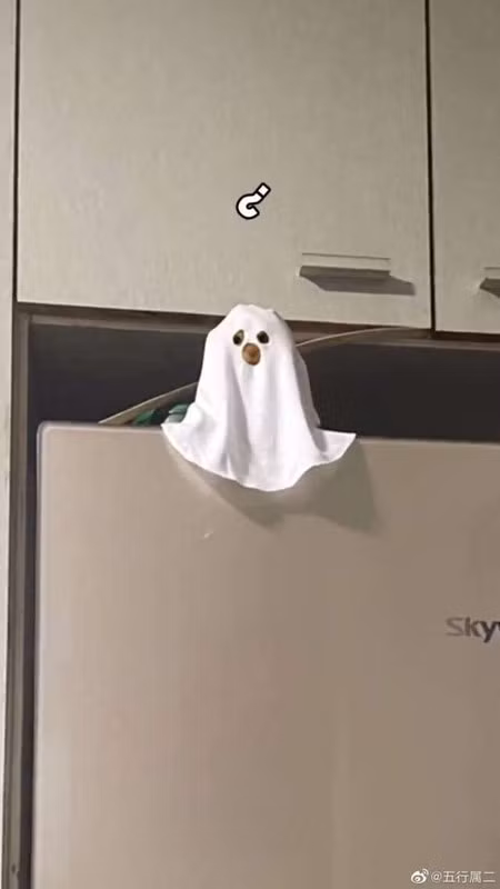 Để cho không khí Halloween thêm náo nhiệt, giới trẻ không những hòa mình vào nhân vật mà còn cosplay các chú chó theo đủ phong cách khác nhau để cùng chào đón đêm lễ huyền bí.