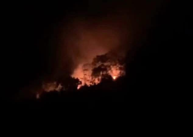 Khống chế cháy rừng tại Vườn quốc gia Ba Vì Khong che chay rung tai Vuon quoc gia Ba Vi