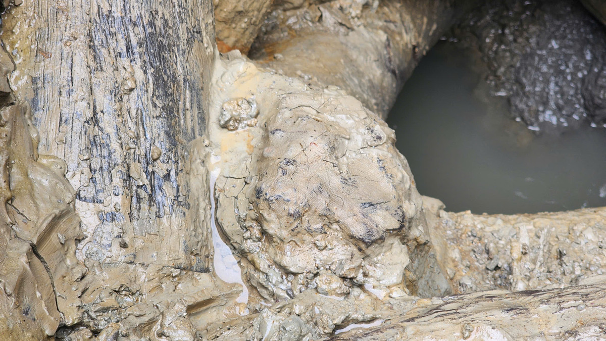 Hiện, người dân thôn Hạc Lâm đã báo cáo sự việc lên UBND xã Hương Lâm. Xã đề nghị người dân giữ nguyên hiện trạng, dừng việc cải tạo giếng để báo cáo, chờ chỉ đạo của cấp trên. TS Phạm Văn Triệu (Phó Trưởng phòng Khảo cổ học lịch sử, thuộc Viện Khảo cổ học, Viện Hàn lâm Khoa học xã hội Việt Nam) cho biết, ông đã xem các hình ảnh về cấu trúc vuông, kiểu xoắn trôn ốc, được nghi là giếng cổ ở Hạc Lâm, Hương Lâm, huyện Hiệp Hòa.