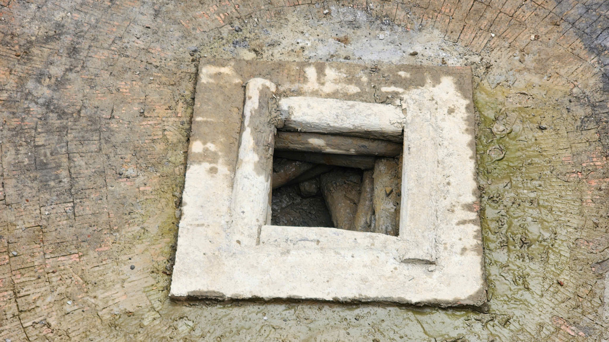 Việc phát hiện cấu trúc bằng gỗ xoắn trôn ốc ở giữa giếng là điều rất bất ngờ với dân thôn Hạc Lâm. "Trước năm 1980, cái giếng này vẫn được người dân lấy nước để sinh hoạt hàng ngày. Tôi vẫn nghĩ giếng chỉ có đáy phẳng, chưa từng được các cụ kể lại ở giữa giếng lại có cấu trúc bằng gỗ hình trôn ốc như thế. Vì vậy cấu trúc gỗ này có thể có từ rất lâu đời rồi", một cụ cao niên trong làng Hạc Lâm thông tin.