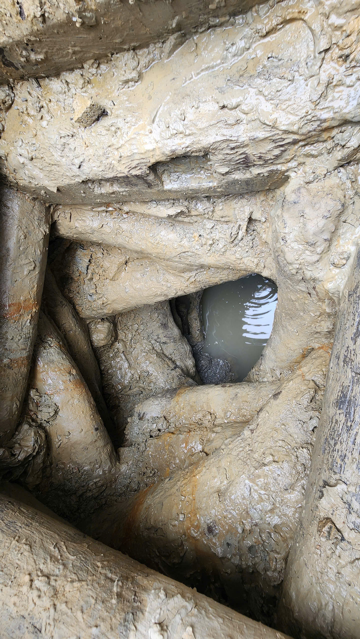 Giếng phát hiện ở Hạc Lâm thuộc loại giếng mạch đứng - được đào sâu xuống lòng đất - giúp giữ nước luôn sạch. Điều này cho thấy sự tiến bộ trong kỹ thuật đào giếng và cuộc sống văn minh của người dân thời xưa", TS Triệu nêu quan điểm. Một chi tiết đáng chú ý là 4 bên đều được dùng gỗ để kè. Dù chưa xác định được tên loại gỗ nhưng yếu tố này cho thấy kỹ thuật đào giếng đã có tiến bộ. 