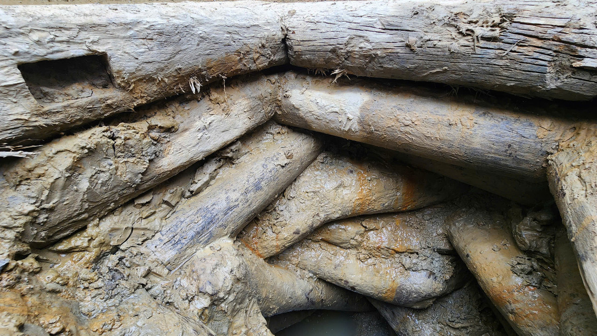 "Đến nay, chúng tôi chưa thể xác định được niên đại của giếng vì phải lấy mẫu gỗ để làm xét nghiệm carbon phóng xạ (C14), đồng thời nghiên cứu thêm lối sống, cách đào giếng của người dân trong khu vực mới có thể kết luận một cách chính xác", TS Phạm Văn Triệu nói.