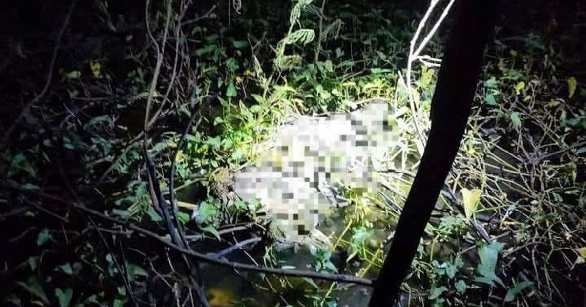 Trong khi việc khám nghiệm đang được tiến hành, các điều tra viên nhận được tin chị Trần Thị D. (SN 1974, ngụ ấp 4, thị trấn An Thới) mất tích. Căn nhà của chị D. cách hiện trường khoảng 160m. Ngay lập tức, các trinh sát có mặt tại nhà chị D.. Con gái lớn của chị D. cho biết, khi em về nhà không thấy mẹ đâu, trên sàn nhà, vách và nhiều vật dụng khác loang lổ nhiều vết máu. Qua nhận dạng, nạn nhân bị vùi dưới bùn chính là chị Trần Thị D. (Ảnh minh họa, nguồn internet)