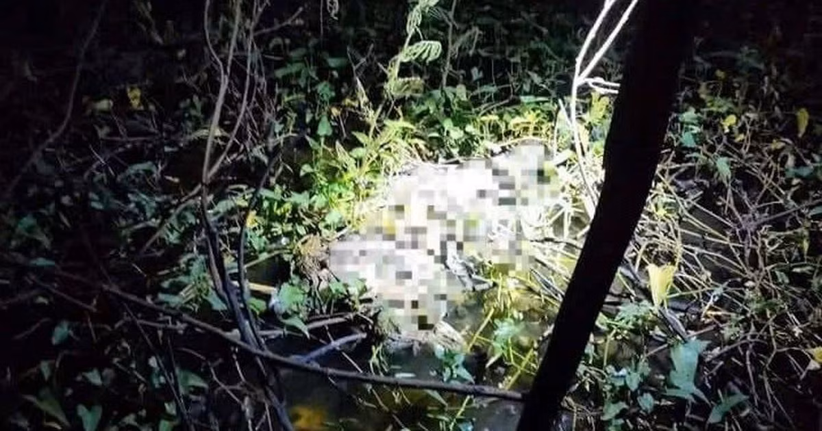 Trong khi việc khám nghiệm đang được tiến hành, các điều tra viên nhận được tin chị Trần Thị D. (SN 1974, ngụ ấp 4, thị trấn An Thới) mất tích. Căn nhà của chị D. cách hiện trường khoảng 160m. Ngay lập tức, các trinh sát có mặt tại nhà chị D.. Con gái lớn của chị D. cho biết, khi em về nhà không thấy mẹ đâu, trên sàn nhà, vách và nhiều vật dụng khác loang lổ nhiều vết máu. Qua nhận dạng, nạn nhân bị vùi dưới bùn chính là chị Trần Thị D. (Ảnh minh họa, nguồn internet)