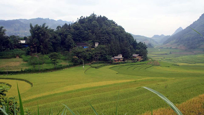 Không sống được ở địa phương, đối tượng chuyển đến xã Sín Chéng sinh sống. Trong quá trình ở tại đây, Vử gặp người phụ nữ goá bụa rồi nên vợ nên chồng. Dù đã có vợ và con chung với người phụ nữ này, nhưng theo thông tin của người dân sinh sống ở địa bàn, đối tượng vẫn thường “trêu hoa, ghẹo nguyệt”, nạn nhân là những phụ nữ đơn thân, có chồng đi làm xa nhà. Chị M cũng là một trường hợp như vậy, chị có chồng nhưng nhiều tháng nay chồng chị đi làm ăn ở Đắk Lắk… (Ảnh minh họa, nguồn internet) 