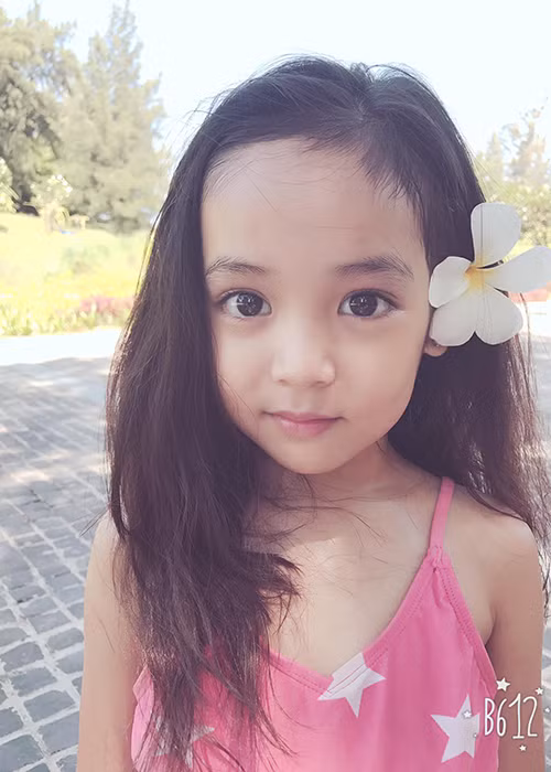 Chu Diệp Anh sinh năm 2011, tại Hà Nội. Từ khi còn rất nhỏ, diễn viên nhí phim “Ngược chiều nước mắt” đã làm người mẫu ảnh.