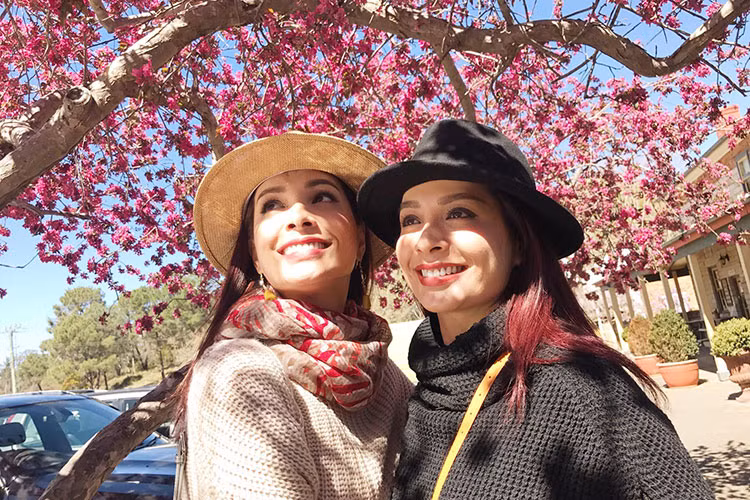 Thúy Hạnh (trái) chia sẻ hình ảnh bên Thúy Hằng đồng thời viết: “Với "nhỏ bạn thân" 40 năm chưa chán nhau”.