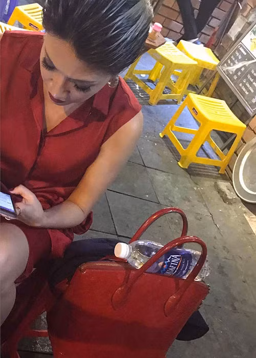 Pha Lê xin người giật túi xách của cô trả lại cuốn hộ chiếu để cô kịp bay sang Mỹ biểu diễn.