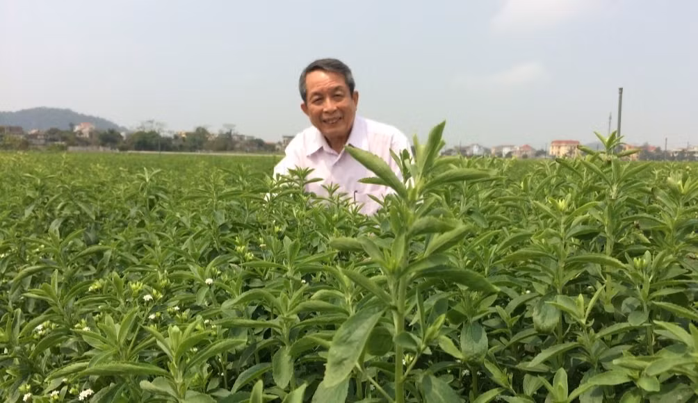 GS Tran Dinh Long tran tro dua nong nghiep Viet vuon tam the gioi-Hinh-4