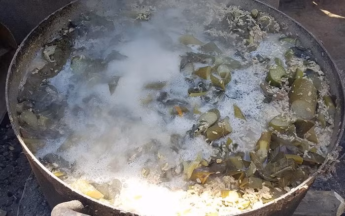 Hình ảnh nồi cám lợn đã trở nên quen thuộc với nhiều người, nhất là thế hệ 7X, 8X..