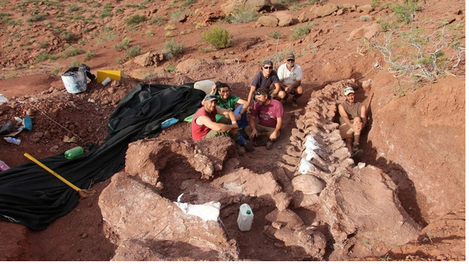 Hóa thạch này có mối quan hệ chặt chẽ với nhóm sauropod (khủng long cổ dài) to lớn nhất là titanosaur (thằn lằn hộ pháp). Ảnh: CNN.