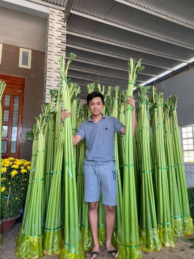 Tuy nhiên, hiện nay, loại rau này đã trở thành đặc sản, chế biến thành nhiều món ăn ngon. Trong ảnh là những cây dọc mùng khổng lồ của một người dân ở Đồng Nai khiến nhiều người ngạc nhiên, trầm trồ.